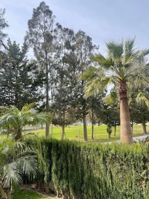 Mi Descanso לה קאלה דה מיחאס מראה חיצוני תמונה